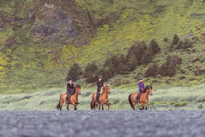 Black Sand Beach Horse Riding Tour from Vik - Where the tour may disappoint experienced riders