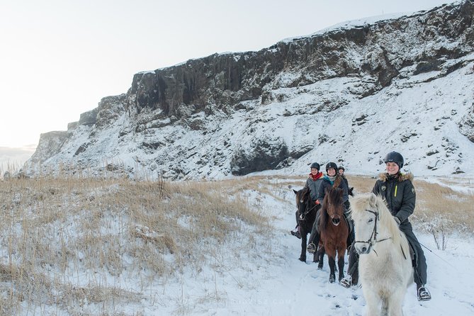 Black Sand Beach Horse Riding Tour from Vik - What the $133.02 price gets you
