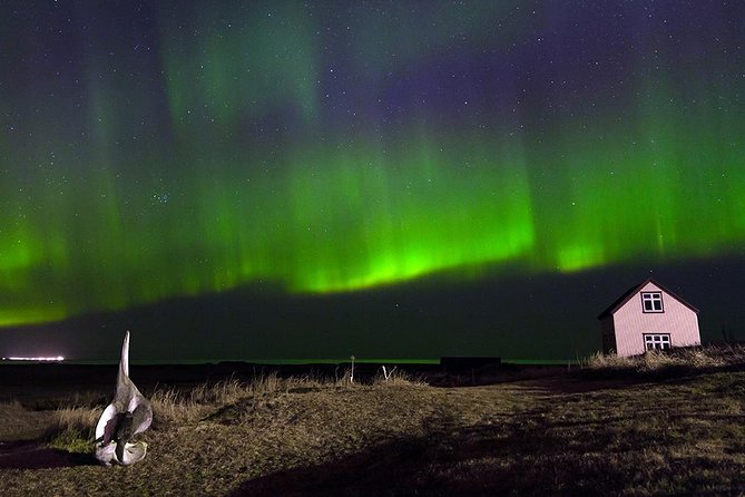 Blue Lagoon and Northern Lights Tour Including Admission - Common problems with pickup and transfers