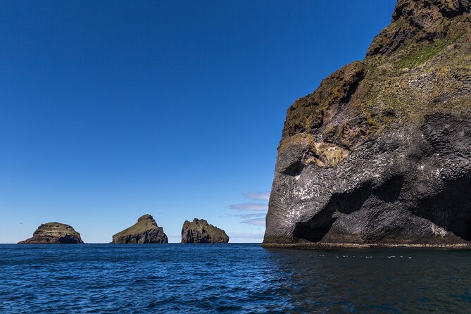 Boat Tour in Vestmannaeyjar - Why the local guide matters