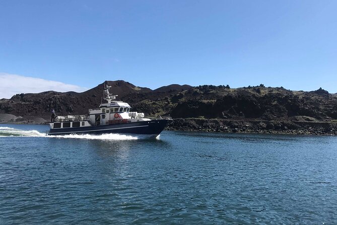 Boat Tour in Vestmannaeyjar - Volcanic cliffs and the new lava