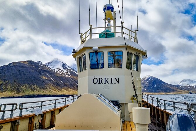 Boat Tours from Siglufjörður - Across to Héðinsfjörður and Hvanndalabjarg