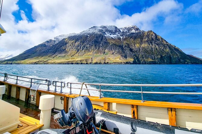 Boat Tours from Siglufjörður - Starting at Aðalgata 34 in Siglufjörður