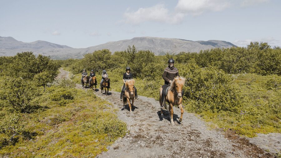 Borgarnes: Horseback Riding Tour with Prep Lesson - Starting at Hestaland, 15 minutes from Borgarnes