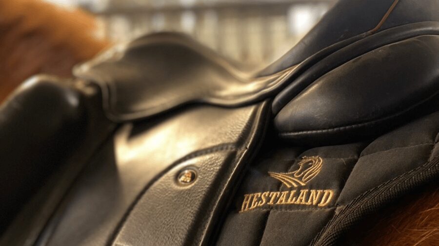 Borgarnes: Horseback Riding Tour with Prep Lesson - The indoor prep lesson makes this beginner-friendly