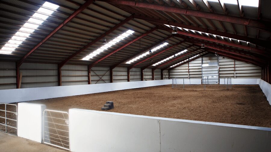 Borgarnes: Horseback Riding Tour with Prep Lesson - Is $109 a fair price for 1.5 hours?