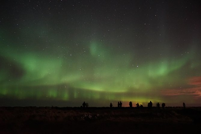 Chasing Aurora Borealis with Warmth and Treats in Premium Tour! - The $249 question: is the price fair?