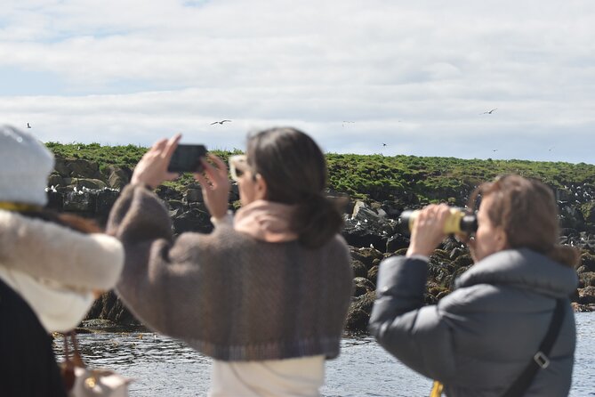 Classic Puffin Watching Cruise from Downtown Reykjavík - A fast boat ride from Reykjavík’s Old Harbour