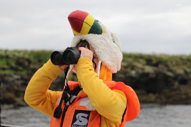 Classic Puffin Watching Cruise from Downtown Reykjavík - Why the one-hour format works