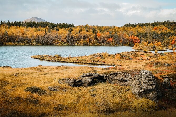 Cruise Tour Godafoss and Myvatn Lake and Baths Small Group - Key points to know before booking