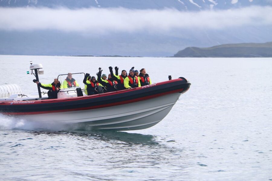 Dalvík: Whale Watching Speedboat Tour - From Hafnarbraut 22 to the open fjord