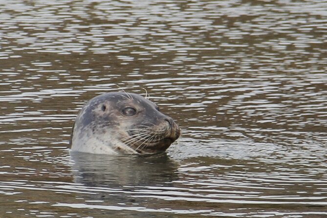 Day Trip to Snæfellsness Peninsula from Reykjavik - What $480 per person really buys