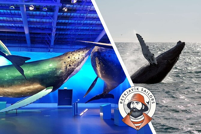 Deluxe Whale Watching and Whales of Iceland Exhibition Combo from Reykjavik - Who will enjoy this Reykjavik combination?