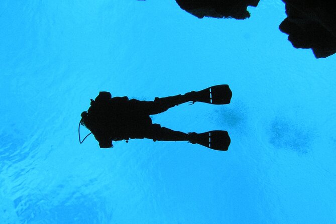Dive the Divide: Silfra Fissure Scuba Tour | Meet at Thingvellir - The 400-meter walk to the fissure