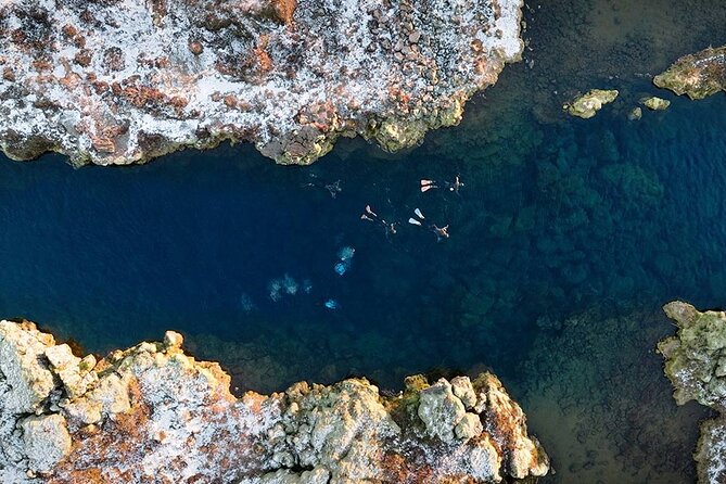 Dive the Divide: Silfra Fissure Scuba Tour | Meet at Thingvellir - Cold, comfort, and the guide’s role