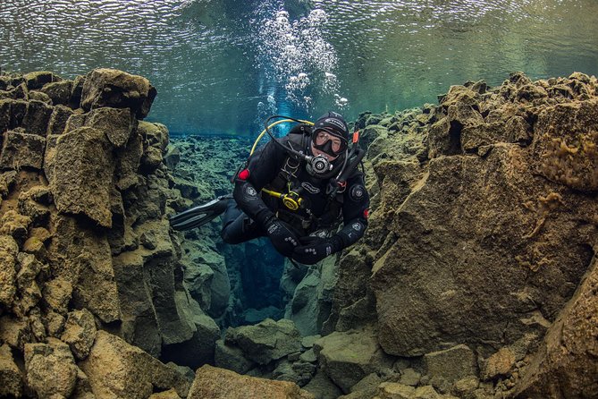 Dive the Divide: Silfra Fissure Scuba Tour | Reykjavik Pickup - What the $344.67 price includes