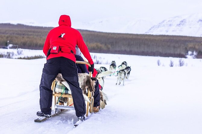 Dog Sledding Tour near Akureyri - A Private Tour, Not a Large Excursion