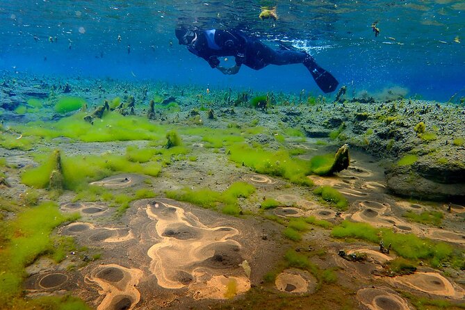 Double Snorkeling Adventure near Húsavík in North Iceland - Two North Iceland snorkels with completely different personalities