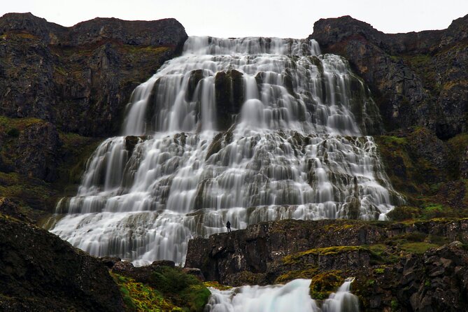 Dynjandi Waterfall & Iceland Farm Visit Tour - Gemlufell Farm near Þingeyri