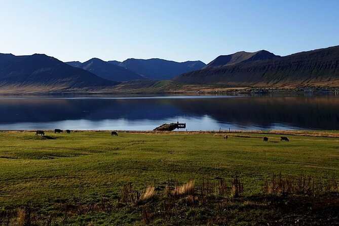 Dynjandi Waterfall & Iceland Farm Visit Tour - Is $149 a fair price?