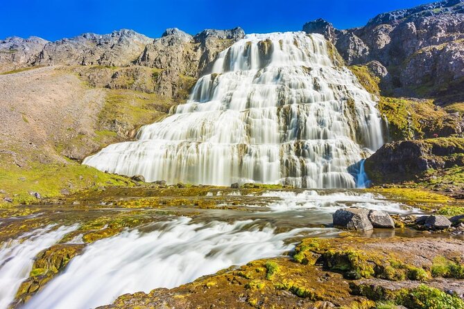 Dynjandi Waterfall & Iceland Farm Visit Tour - Who will enjoy this tour most?