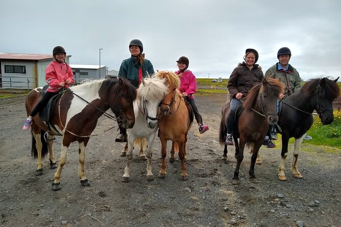 Experience Countryside of Iceland by Horseback Riding - Price, Transfers, and What Your $207 Buys