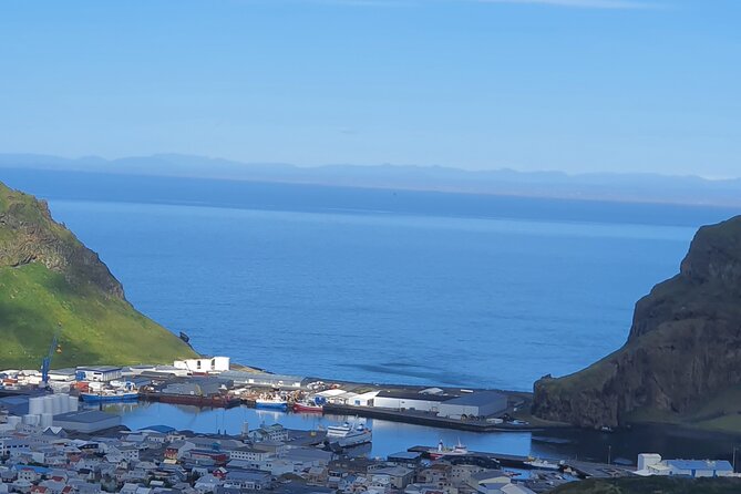 Eyjascooter Puffin Tour in Iceland - Finishing at the Sea Life Trust Museum