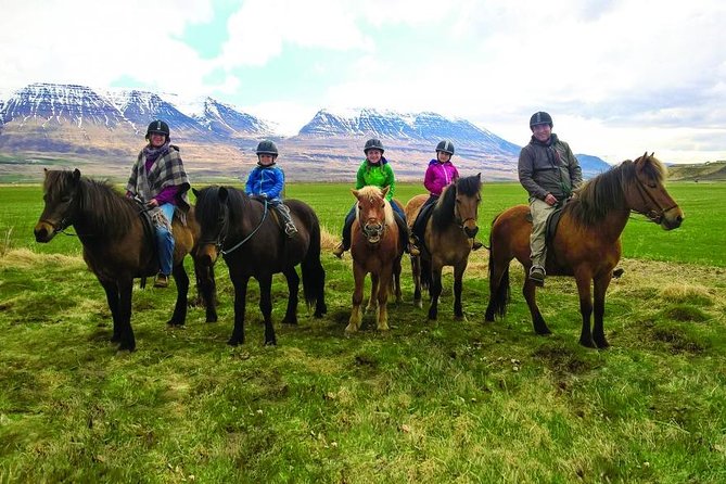 Family Friendly Horse Riding Tour in Skagafjörður - Key points at a glance