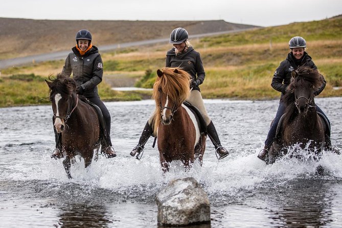 Family Friendly Horse Riding Tour in Skagafjörður - Riding gentle Icelandic horses in Skagafjörður