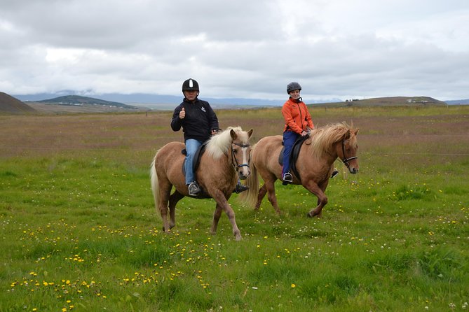Family Friendly Horse Riding Tour in Skagafjörður - The one-hour route through streams and canyon country