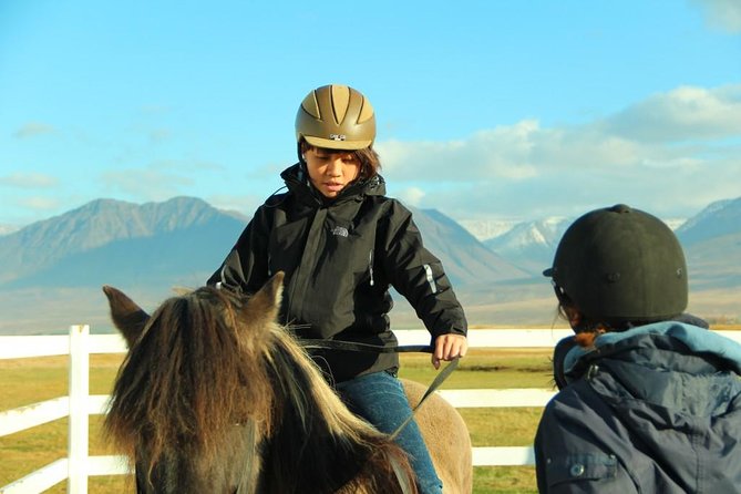 Family Friendly Horse Riding Tour in Skagafjörður - Why Icelandic horses make this a good first ride