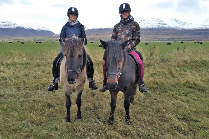 Family Friendly Horse Riding Tour in Skagafjörður - Family comfort and guide support