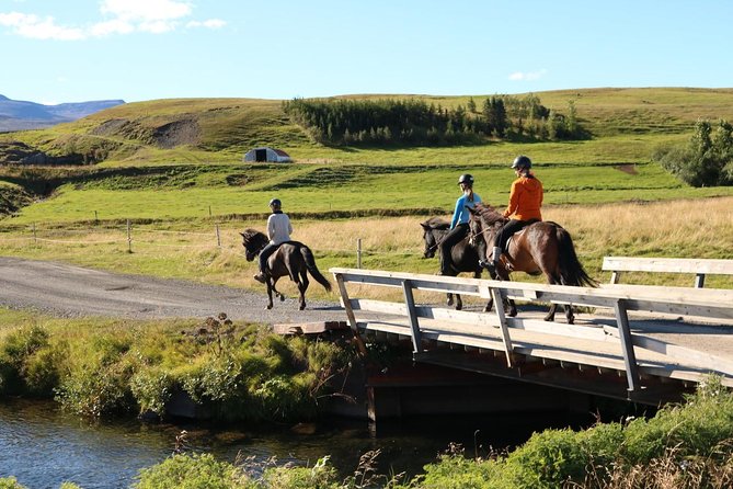 Family Friendly Horse Riding Tour in Skagafjörður - Is $90.05 a fair price for one hour?