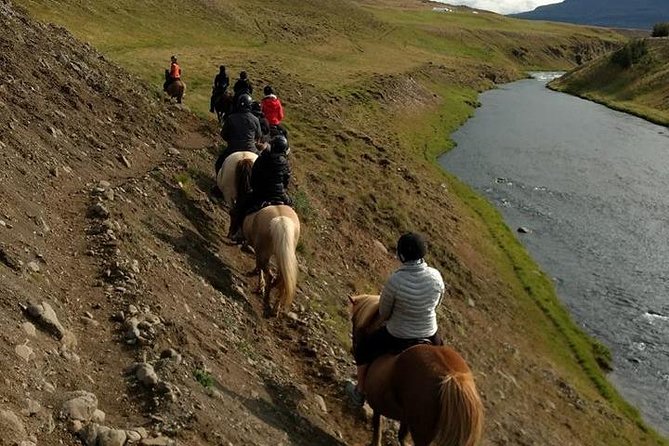 Family Friendly Horse Riding Tour in Skagafjörður - Who should book this horse ride?