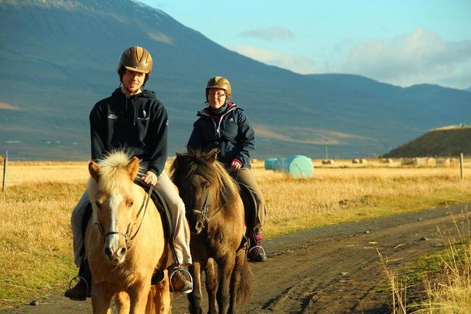 Family Friendly Horse Riding Tour in Skagafjörður - What happens at Hestasport in Varmahlíð