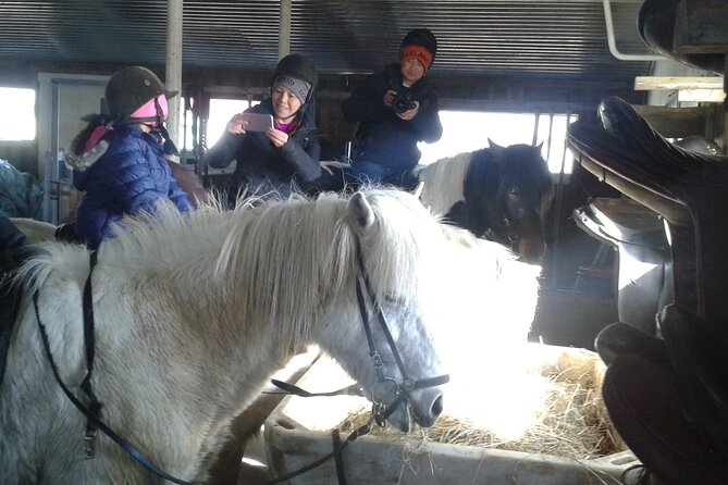 Family Horse Riding Tour in Thorlakshofn - Key points before you saddle up