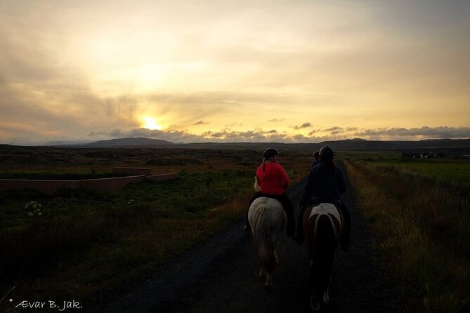 Family Horse Riding Tour in Thorlakshofn - Riding Icelandic horses near Þorlákshöfn