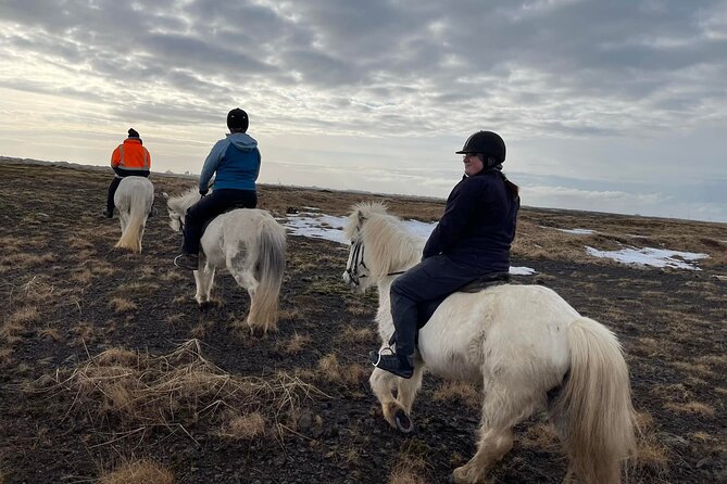 Family Horse Riding Tour in Thorlakshofn - How demanding is the ride?