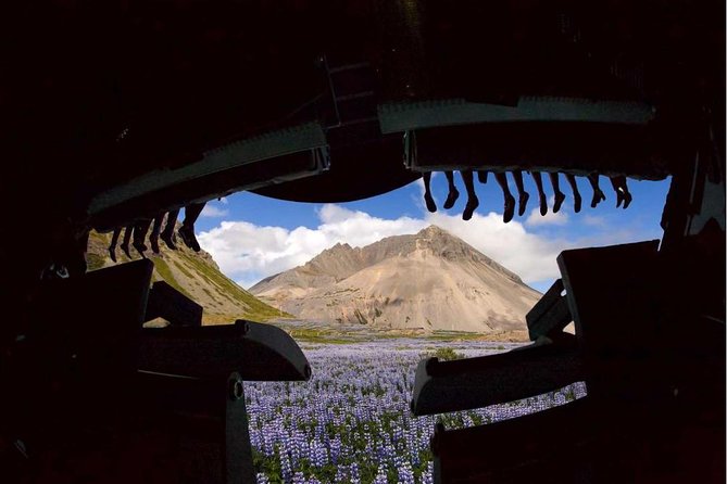 FlyOver Iceland Admission Ticket - What FlyOver Iceland actually feels like