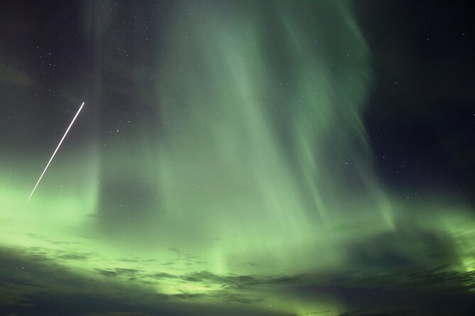 Forest Lagoon and Northern Lights Guided Night Tour - Why this Akureyri evening works so well