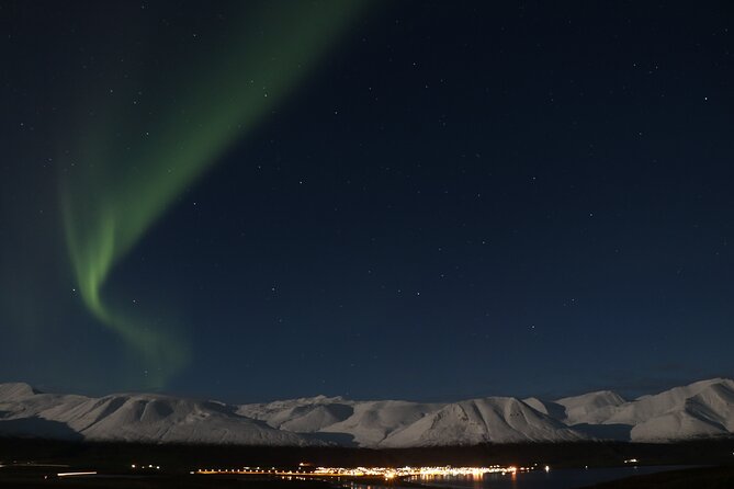 Forest Lagoon and Northern Lights Guided Night Tour - Who will enjoy this most