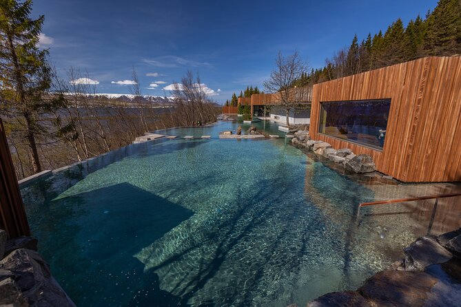 Forest Lagoon and Northern Lights Guided Night Tour - Timing, meeting point, and group size