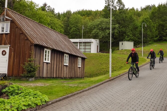 Forest Lagoon Ebike Tour Akureyri - Who will enjoy this ride most
