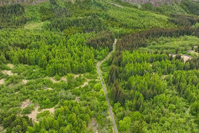 Forest Lagoon Ebike Tour Akureyri - Kjarnaskógur brings forest and open views