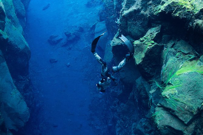 Freedive Silfra Half Day Tour - Key details before you book