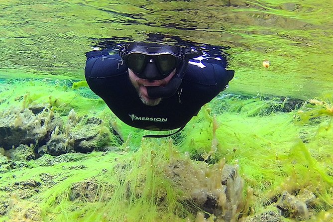 Freedive Silfra Half Day Tour - Guide support from Marcelo, Eddie, and the small team