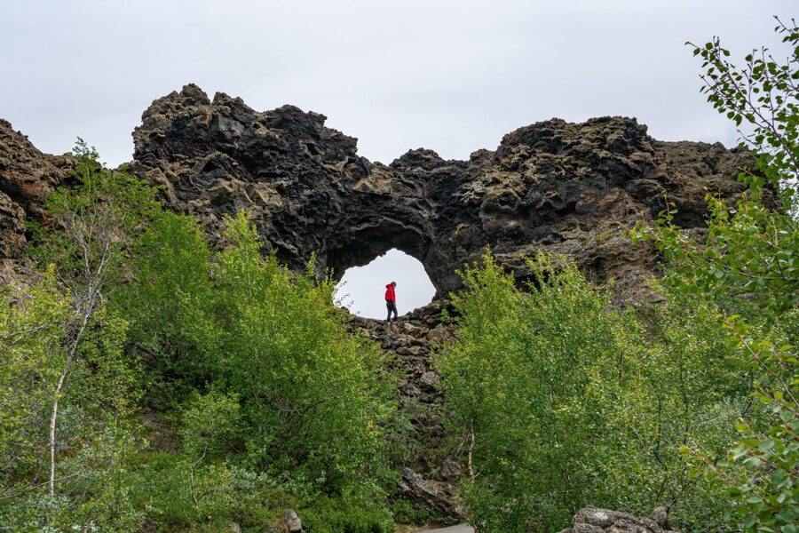 From Akureyri: Myvatn Lake, Craters, & Waterfall Tour - Guides, drivers, and the pace of the bus