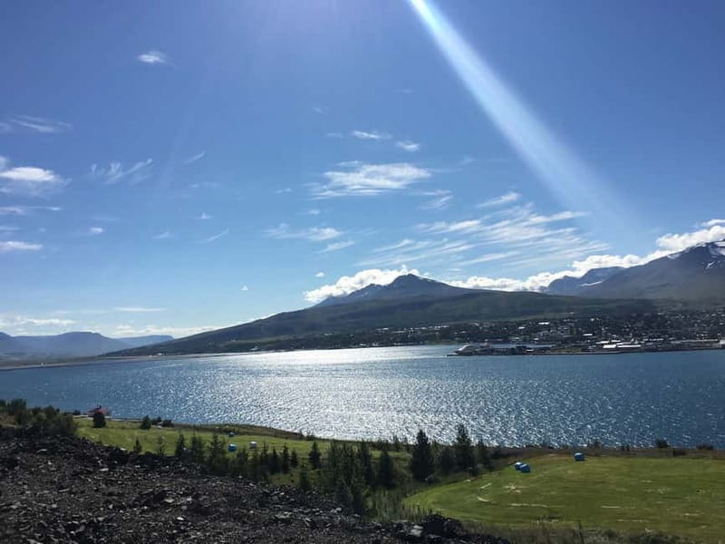 From Akureyri Port: Diamond Circle Guided Day Trip w/ Lunch - Ásbyrgi Canyon and its horseshoe shape