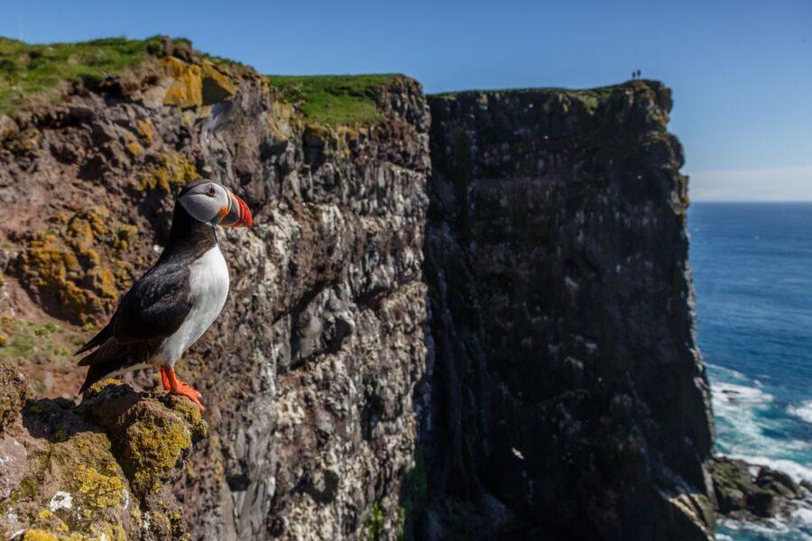 From Reykjavík: 3-Day Tour of the Wild Westfjords - Why the Westfjords need a three-day trip