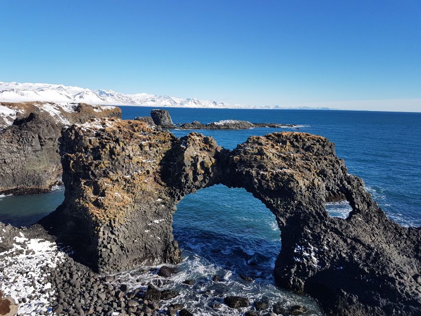 From Reykjavík: 4, 5, 6 or 7-Day Small-Group Ring Road Tour - Day 4: Akureyri, whales, and the northern coast